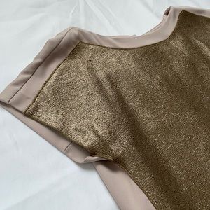 ANN TAYLOR Elegant Nude/Gold Top *NWOT*